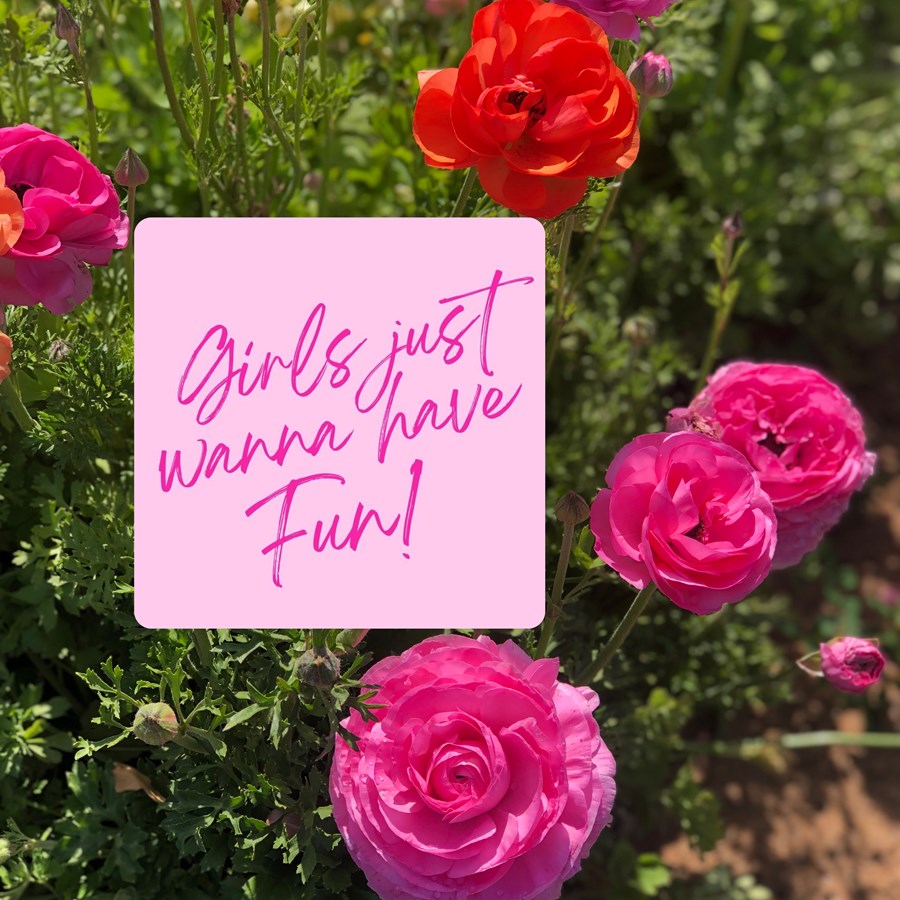 Girls Just Wanna Have Fun